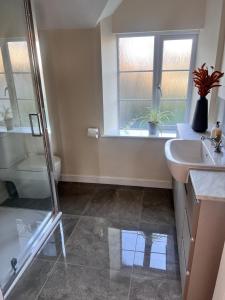 une salle de bain avec un lavabo, des toilettes et un miroir dans l'établissement Seaview Terrace - Beer, à Beer