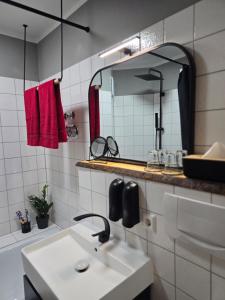 un baño con lavabo y espejo en Schwarzwaldmarie in Titisee mit Badewanne Sonnenbalkon TG-Stellplatz Küche, en Titisee-Neustadt