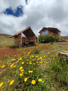 a house and a field of yellow flowers at villas de la montaña, Tona, Berlin Santander in Tona