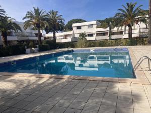 a swimming pool in front of a building with palm trees at Sol-y-Days Cyprianes appartement moderne avec piscine in La Grande-Motte +13 photos