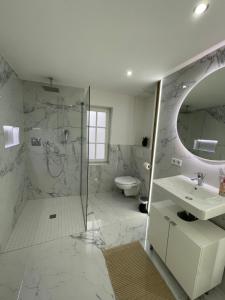 a bathroom with a shower and a sink and a toilet at ADVENTURE LuxusApartment in Wetzlar +24 photos