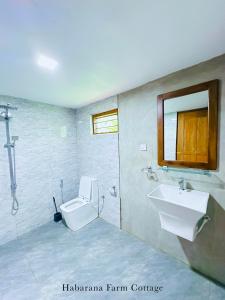 ein Badezimmer mit Waschbecken, Toilette und Spiegel in der Unterkunft Habarana Farm Cottage in Habarana