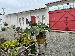 a group of plants in front of a building at Las Casitas - Playas in Playas +4 photos