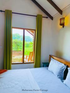 ein Schlafzimmer mit einem Bett und einem großen Fenster in der Unterkunft Habarana Farm Cottage in Habarana