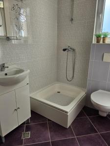Koupelna v ubytování Apartments Andrijanić