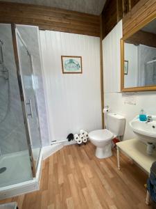 a bathroom with a shower and a toilet and a sink at Hemsford yurt camp - Devon Yurts in Totnes