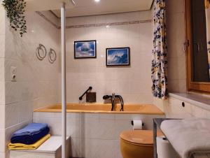a bathroom with a sink and a toilet at Ferienhaus an der Schlierach in Schliersee +16 photos