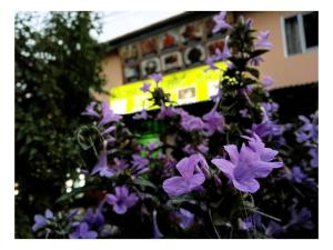 Fotografie z fotogalerie ubytování Chiyabari Hotel v destinaci Pānigata