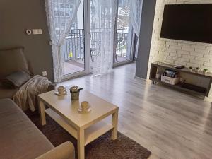 a living room with a couch and a coffee table at Apartament delux Hania in Świeradów-Zdrój