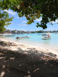 Φυσικό τοπίο κοντά σε αυτό το διαμέρισμα