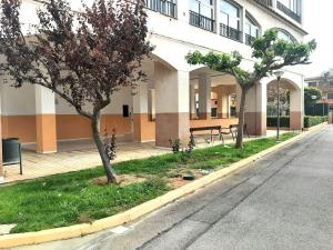 Gallery image of Apartamento Mediterráneo in Benicàssim