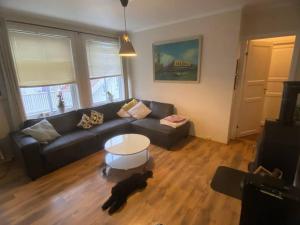a dog is standing in a living room at 200 M TIL ALT to everything in Egersund