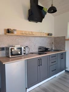 a kitchen with a counter with a microwave on it at Family House Volosianka in Volosyanka