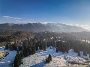 Φωτογραφία από το άλμπουμ του ALBERT RESIDENCE APARTHOTEL GRAND CHALET with special rate to SPA Alpin Resort BOOK 2 NIGHTS STAY 3 στην Poiana Brasov +138 φωτογραφίες
