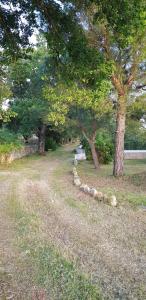 A garden outside Villa Isabella
