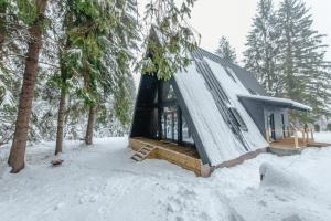 a tiny house in the snow in the woods at Black Raven Cabin in Topliţa