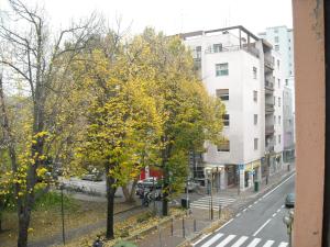 una calle de la ciudad con árboles amarillos y un edificio blanco en B&B Sansevero Venice, en Mestre