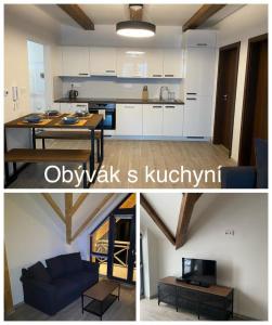 Η κουζίνα ή μικρή κουζίνα στο Horský apartmán Temari Partner Klínovec