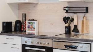 Kuchnia lub aneks kuchenny w obiekcie Moderne Ferienwohnung mit Bergblick
