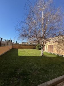 a tree in the middle of a grass field at Casa con piscina in Madrid