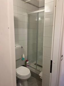 a bathroom with a toilet and a glass shower at Pola's House Turin in Turin