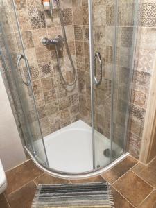 een douche met een glazen deur in een badkamer bij Dvůr Metlice in Rožmberk nad Vltavou