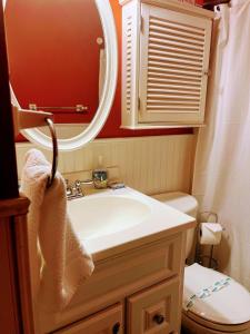 a bathroom with a sink and a mirror and a toilet at The CubHouse Poconos getaway in Tobyhanna +45 photos