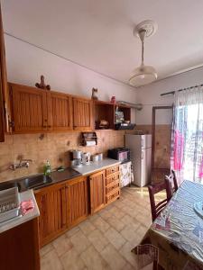 Kuchyň nebo kuchyňský kout v ubytování EVA APARTMENT