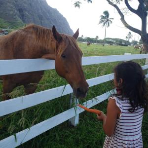 Kép 1br with 1ba Oceanfront in Beautiful Kualoa szállásáról Kaneohe-ban a galériában