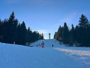 a group of people skiing down a snow covered slope at GoldPath Classic Apartment - Marktplatz Waldkirchen in Waldkirchen