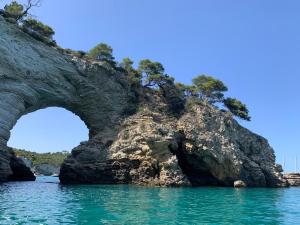 Táj Show holiday homes közelében