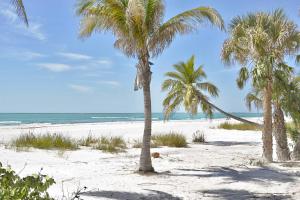 un grupo de palmeras en una playa de arena en Pelican Watch #502 by Sun Palace Vacations, en Fort Myers Beach