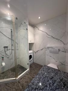 Koupelna v ubytování Luxury Penthouse, lake view + 5 fotografií