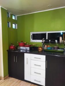 a kitchen with green walls and a counter top at Samay Wasi in Ayacucho +7 photos