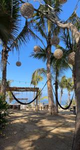 a group of palm trees on the beach at 2 Bedroom Luxury Condo in Nuevo Vallarta 