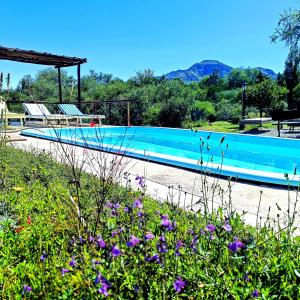 a swimming pool with purple flowers in front of it at misky wayra in Capilla del Monte