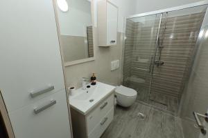 a bathroom with a shower and a sink and a toilet at Livinn Apartments-Deluxe Apartment in Prizren +14 photos