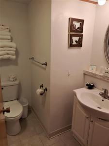 a bathroom with a toilet and a sink at Lakeshore Motel Ice Lake in Iron River