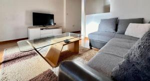 TV a/nebo společenská místnost v ubytování Apartments Jure