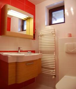 W łazience znajduje się umywalka, toaleta i lustro. w obiekcie Vila Platoul Soarelui w mieście Straja