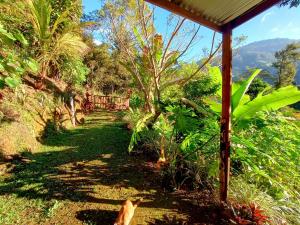 a path through a garden with trees and a hill at La cabaña de Eugenio in Convento