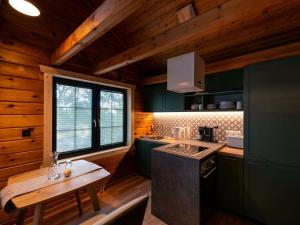 a kitchen with green cabinets and a table in a cabin at Lodge in Buntenbock in Flussnähe in Clausthal-Zellerfeld
