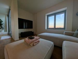 Televiisor ja/või meelelahutuskeskus majutusasutuses Luxury Duplex Suite 2-Story