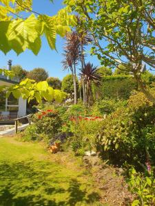 a garden with a dog laying on the grass at Peaceful beachside guest house in Invercargill