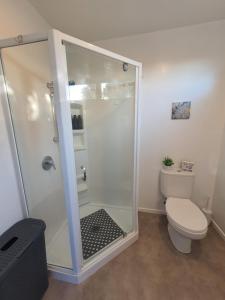 a bathroom with a shower and a toilet at Studio on the Bay in Opua +16 photos