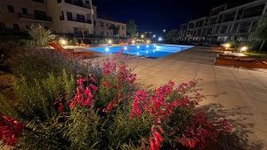 a swimming pool at night with red flowers and buildings at Vista Montañas y Viñas in Cafayate