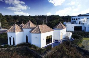 a house with tile roofs on top of a hill at Libentia Hotel & Poolvilla in Jeju