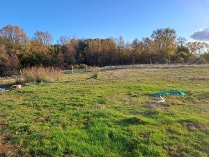 a field of grass with trees in the background at Cabaña campestre Bello Horizonte in Yungay +2 photos