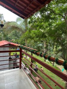 ManhãにあるRecanto dos Ipêsの柵の上に立っている動物の群れ +16枚の写真