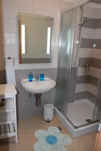 W łazience znajduje się umywalka i prysznic. w obiekcie Apartments Sandra w mieście Brseč